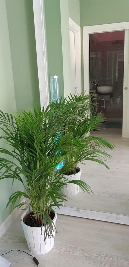 Casa Mara & Casa Tea Apartment Maratea Ngoại thất bức ảnh
